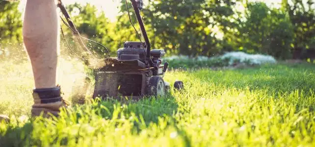 Règlementation sur la tonte de pelouse le lundi de Pentecôte : ce que vous devez savoir